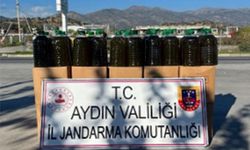 Köşk’te 500 kilogram sahte zeytinyağı yakalandı