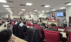 İlaçlama hizmetleri mahkemeye taşınıyor