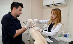 Kuşadası Belediyesi Veteriner İşleri Müdürlüğü’nden ‘Mikroçip’ uyarısı