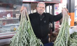 Karaciğer dostu enginar pazarda yoğun ilgi görüyor