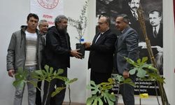 Aydın’da üreticilere 74 bin 90 fide dağıtılacak