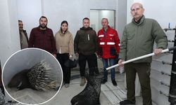 İncirliova Belediyesi ekiplerinden örnek davranış