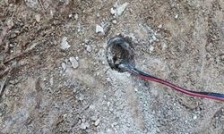 Koçarlı’da zeytinlik alanda kaçak kazı