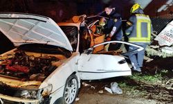 Aydın’da otomobil ağaca saplandı