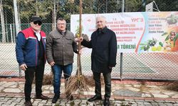 Aydın’da üreticilere kestane fidanı dağıtıldı