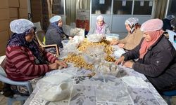 Aydın kestanesi, ihracata hazırlanıyor