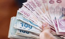 Vatandaşlık maaşı uygulaması başlıyor