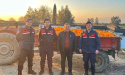 Nazilli’de 1,5 tonluk portakal hırsızlığı