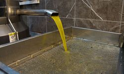 Zeytinyağı fiyatları arttı