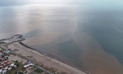 Sel suları denizin rengini değiştirdi