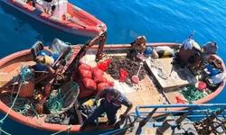 Aydın’da su ürünlerinde yoğun denetim