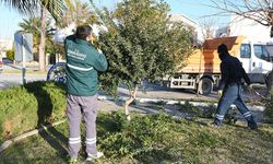 Kuşadası Belediyesi’nden bakım hamlesi