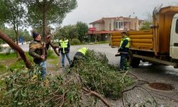 Didim Belediyesi ekipleri sahada