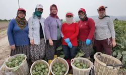 Başkan Yetişkin’le güçlenen kadın emeği dünyaya açıldı