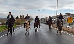 İncirliova'da rahvan atları yarışlara hazırlanıyor