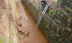 Kanala düşen köpeğin yardımına itfaiye koştu