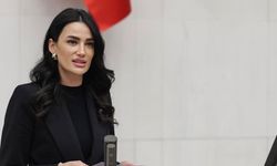 Milletvekili Sarıbaş: Sınır güvenliği sağlandı