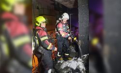 Aydın’da korkutan yangın