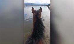 Aydınlı çifti sel sularından atıyla geçti