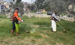 Kuşadası Belediyesi daha temiz ve daha yeşil bir kent için çalışıyor