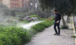 Bozdoğan’da yabani otlarla mücadele başladı