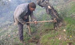 Tek ayağıyla 78 yıldır dağ bayır çalışıyor