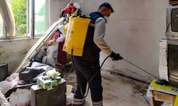 Çöp evler temizlendi: 13 kamyon atık çıkarıldı