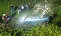 Domuza çarpan otomobil uçuruma yuvarlandı