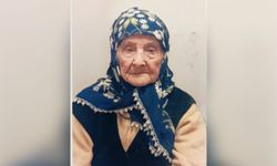 Asırlık çınar hayatını kaybetti