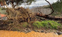 Şiddetli yağış Karacasu’yu vurdu