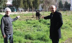 Aydın’da 2 katır ölüme terk edildi