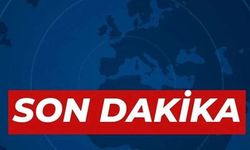 Aydın’da minibüs yayaya çarptı: 1 ölü