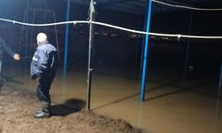 Koçarlı’da su baskını sonrası hayvan tahliyesi sürüyor