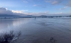 Sarıçay taştı, tarım arazileri sular altında