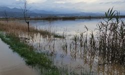 Aydın’da tarım arazileri göle döndü