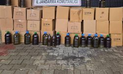 Aydın’da taklit zeytinyağı operasyonu