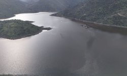 Aydın'da yağmurlar bereket getirdi