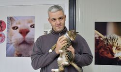 Kuşadası Belediyesi kısırlaştırmanın önemine dikkat çekti