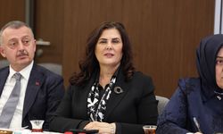 Çerçioğlu: Daha fazla çalışmaya devam edeceğiz