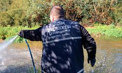 Didim Belediyesi vektörle mücadeleyi yıl boyunca sürdürüyor