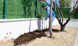 Başkan Gençay: Özel çocuklar için oyun evi çalışmalarız devam ediyor