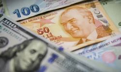 Dolar, TL karşısında tarihi zirveye ulaştı