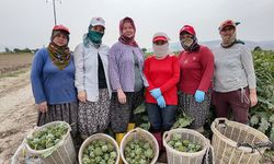 Efeler Belediyesi’nden Kadın odaklı projeler