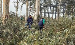 Tepecik Mesire Alanı yenileniyor