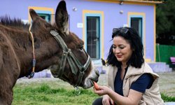 Çamurdan kurtarılan “Fıstık” yeni yuvasında hayat buldu