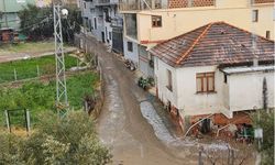 Köşk'te dolu yağışı etkili oldu