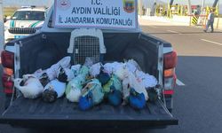 Aydın’da ilginç operasyon