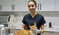 Kuşadası Belediyesi patili dostların her zaman yanında