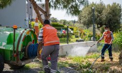 Kuşadası’nda bahar temizliği