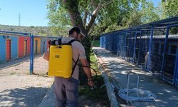 Kuşadası’nda kene tehlikesine karşı erken önlem